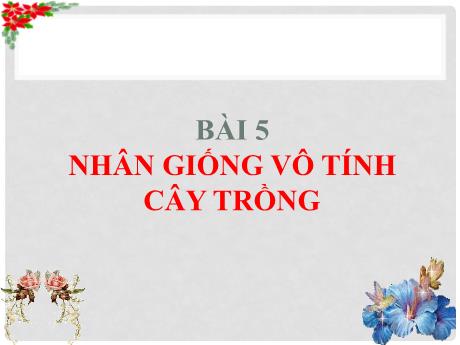 Bài giảng Công nghệ 7 - Bài 5: Nhân giống vô tính cây trồng - Trường THCS Cấp Tiến - Bạch Đằng