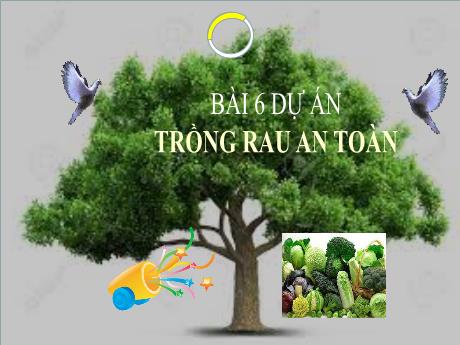 Bài giảng Công nghệ 7 (Kết nối tri thức) - Bài 6: Dự án, trồng rau an toàn - Trường THCS Cấp Tiến - Bạch Đằng