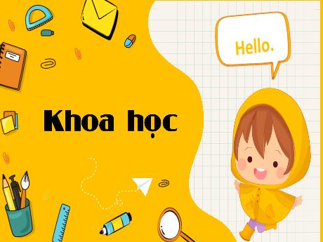 Bài giảng Khoa học 4 (Kết nối tri thức) - Bài 9: Vai trò của ánh sáng (Tiết 2) - Lê Thị Quyên