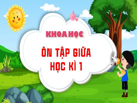 Bài giảng Khoa học 4 (Kết nối tri thức) - Bài: Ôn tập giữa học kì 1 - Lê Thị Quyên