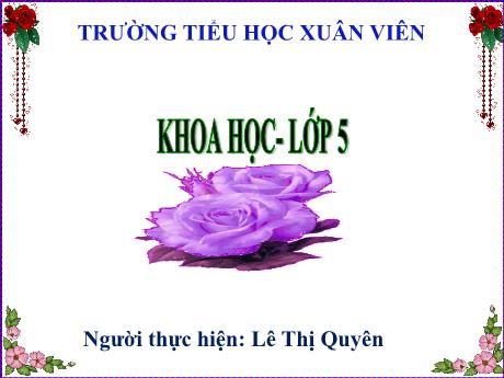 Bài giảng Khoa học 5 (Kết nối tri thức) - Bài 3: Hỗn hợp và dung dịch (Tiết 2) - Năm học 2024-2025 - Lê Thị Quyên