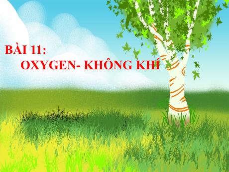 Bài giảng Khoa học tự nhiên 6 (Kết nối tri thức) - Bài 11: Oxygen không khí - Trường THCS Đông Tây Hưng