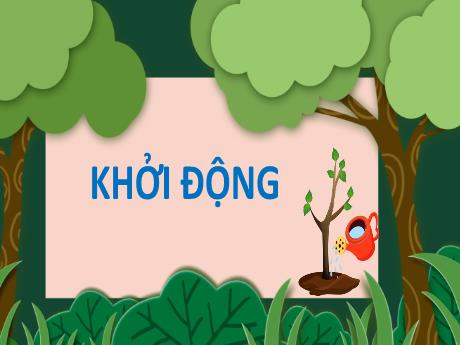 Bài giảng Tiếng Việt 2 (Kết nối tri thức) - Bài 24: Chiếc rễ đa tròn - Năm học 2024-2025 - Phan Thị Thúy Hoa