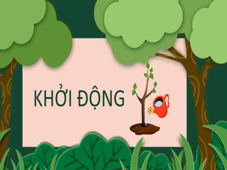 Bài giảng Tiếng Việt 2 (Kết nối tri thức) - Bài 24: Chiếc rễ đa tròn - Năm học 2024-2025 - Trần Thị Hoài Trang