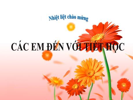 Bài giảng Toán 6 (Kết nối tri thức) - Tiết 85, Bài: Biểu đồ cột - Trường THCS Đông Tây Hưng