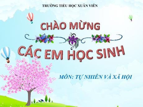 Bài giảng Tự nhiên xã hội 1 (Kết nối tri thức) - Bài 10: Cùng khám phá quang cảnh xung quanh - Lê Thị Quyên