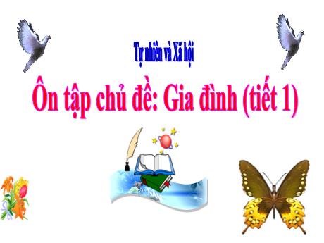 Bài giảng Tự nhiên xã hội 1 (Kết nối tri thức) - Bài 5: Ôn tập chủ đề gia đình (Tiết 1) - Năm học 2024-2025 - Lê Thị Quyên