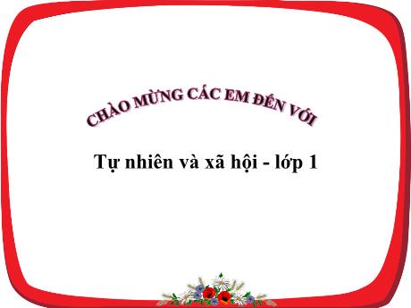 Bài giảng Tự nhiên xã hội 1 (Kết nối tri thức) - Bài 7: Cùng khám phá trường học - Lê Thị Quyên