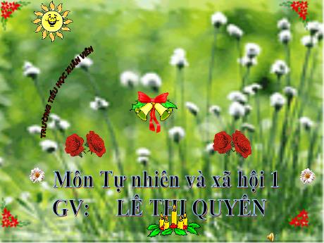 Bài giảng Tự nhiên xã hội 1 (Kết nối tri thức) - Chủ đề 1 - Bài 1: Kể về gia đình (Tiết 2) - Lê Thị Quyên
