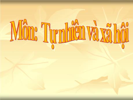 Bài giảng Tự nhiên xã hội 3 (Kết nối tri thức) - Bài 10: Cùng khám phá quang cảnh xung quanh (Tiết 1) - Lê Thị Quyên