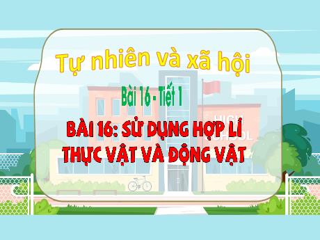 Bài giảng Tự nhiên xã hội 3 (Kết nối tri thức) - Bài 16: Sử dụng hợp lí thực vật và động vật (Tiết 1) - Năm học 2024-2025 - Trần Thị Mai Hương