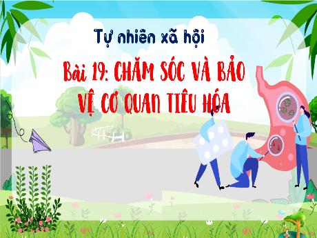 Bài giảng Tự nhiên xã hội 3 (Kết nối tri thức) - Bài 19: Chăm sóc và bảo vệ cơ quan tiêu hóa - Năm học 2024-2025 - Trần Thị Mai Hương