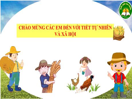 Bài giảng Tự nhiên xã hội 3 (Kết nối tri thức) - Bài 9: Hoạt động sản xuất nông nghiệp (Tiết 1) - Năm học 2024-2025 - Lê Thị Quyên
