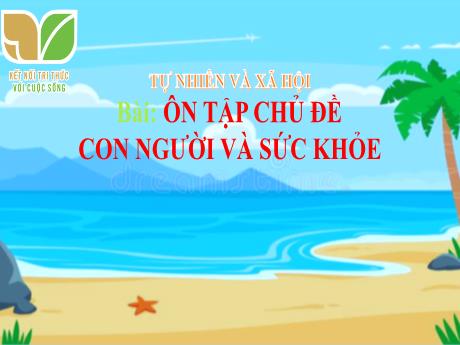 Bài giảng Tự nhiên xã hội 3 (Kết nối tri thức) - Bài: Ôn tập chủ đề con người và sức khỏe - Năm học 2024-2025 - Trần Thị Mai Hương