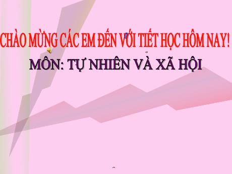 Bài giảng Tự nhiên xã hội 3 (Kết nối tri thức) - Chủ đề 3 - Bài 9: Hoạt động sản xuất nông nghiệp (Tiết 1) - Năm học 2024-2025 - Lê Thị Quyên